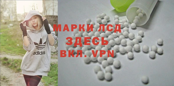 сатива Дмитровск