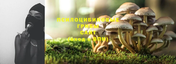мяу мяу мука Дмитров