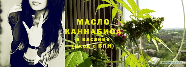 сатива Дмитровск