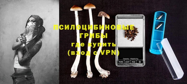 сатива Дмитровск
